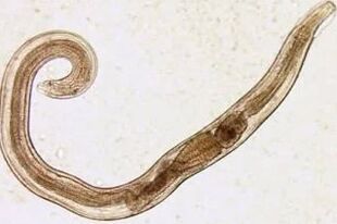 Parasites of a cutting man