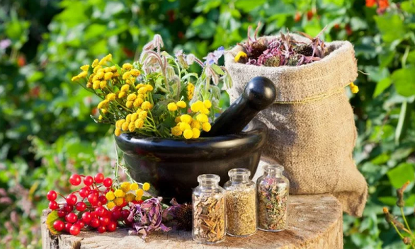 Helminthes herbs