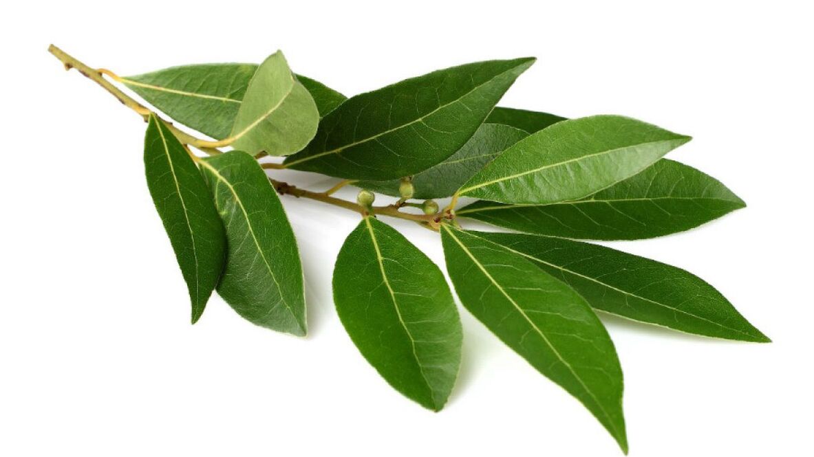 bay leaf as part of Normadex
